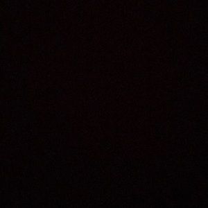 Meet your Posher, Dylan